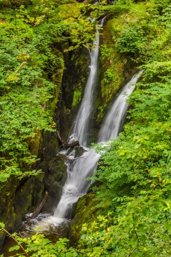 Stock Ghyll Force in summer